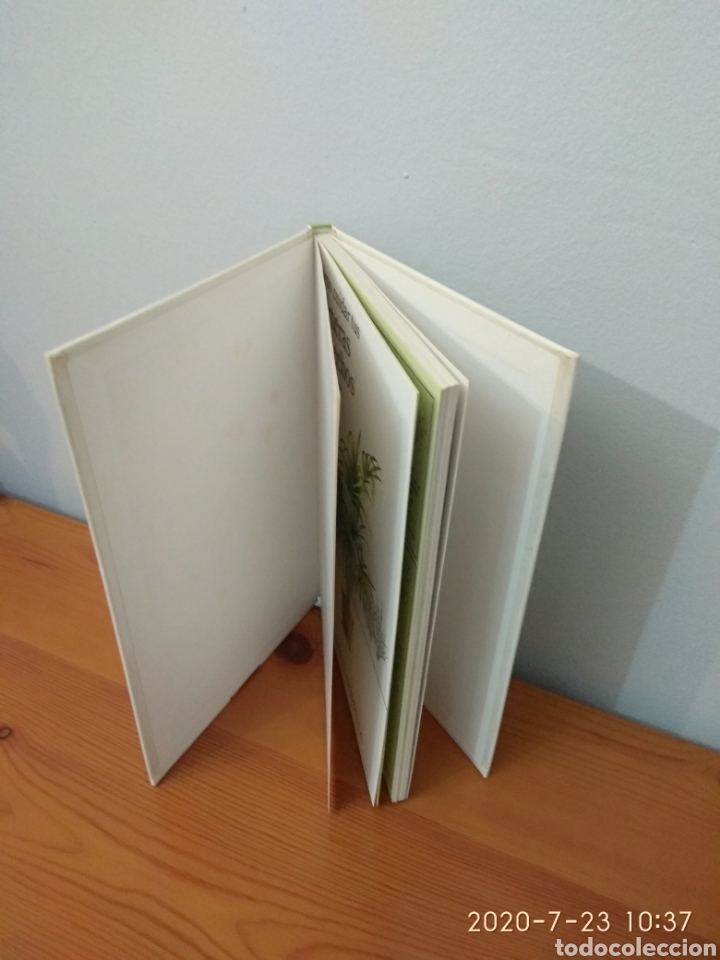 Libros de segunda mano: C&oacute;mo cuidar tus palmeras y helechos - Foto 5