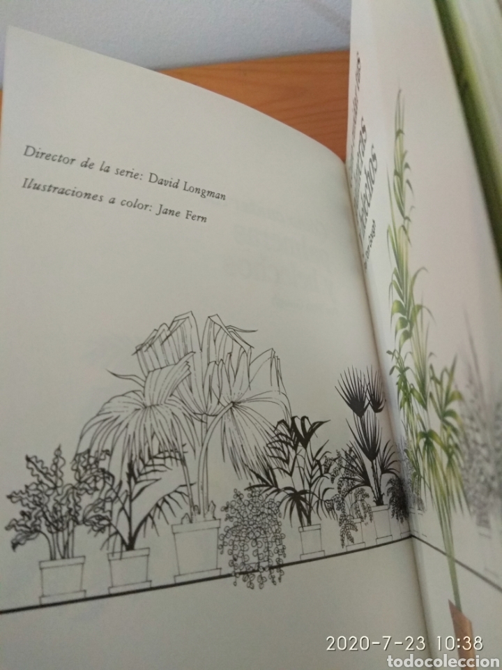Libros de segunda mano: C&oacute;mo cuidar tus palmeras y helechos - Foto 6