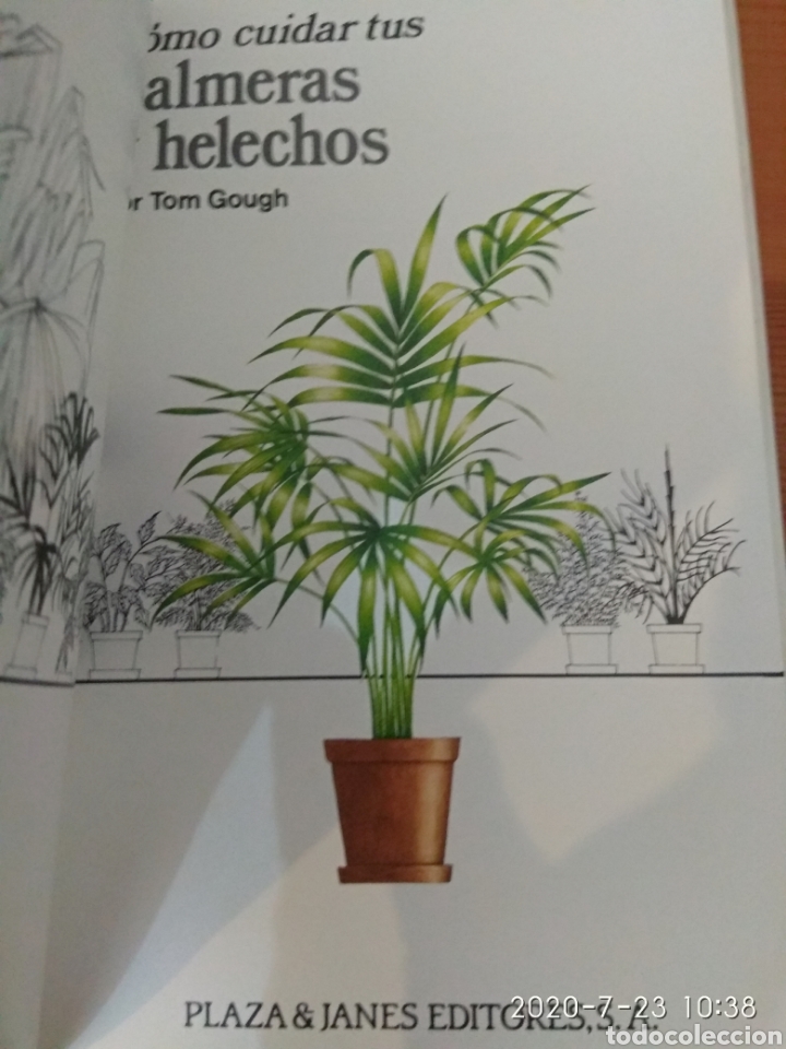 Libros de segunda mano: C&oacute;mo cuidar tus palmeras y helechos - Foto 7