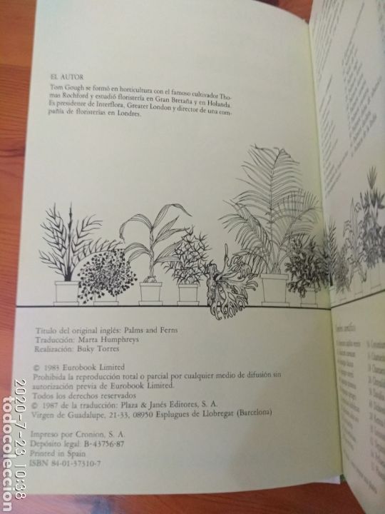 Libros de segunda mano: C&oacute;mo cuidar tus palmeras y helechos - Foto 8