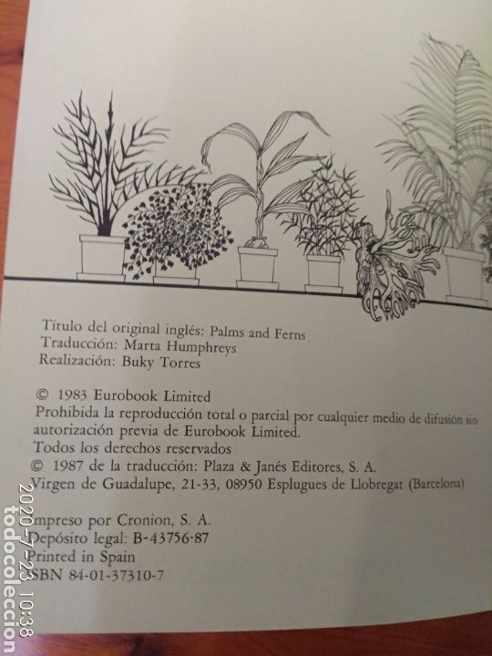 Libros de segunda mano: C&oacute;mo cuidar tus palmeras y helechos - Foto 9