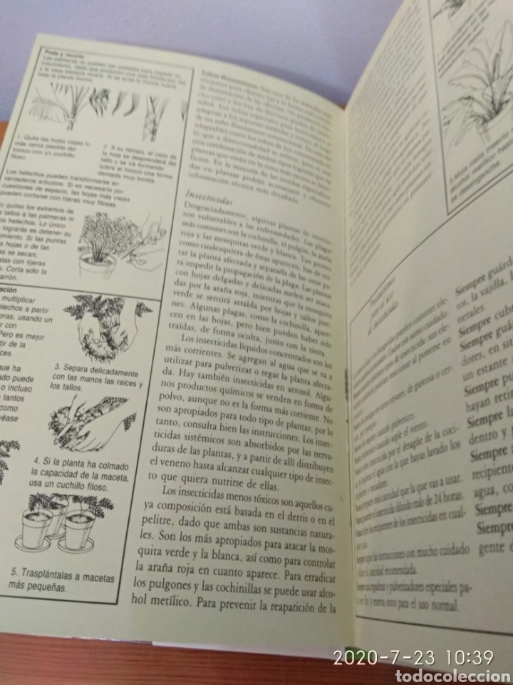 Libros de segunda mano: C&oacute;mo cuidar tus palmeras y helechos - Foto 10