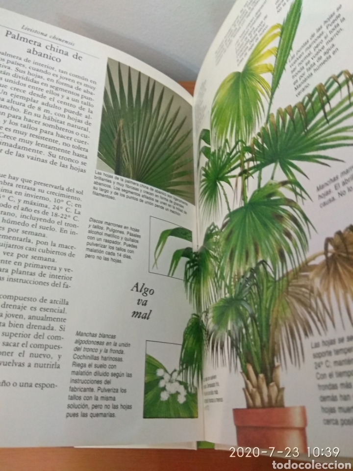 Libros de segunda mano: C&oacute;mo cuidar tus palmeras y helechos - Foto 11