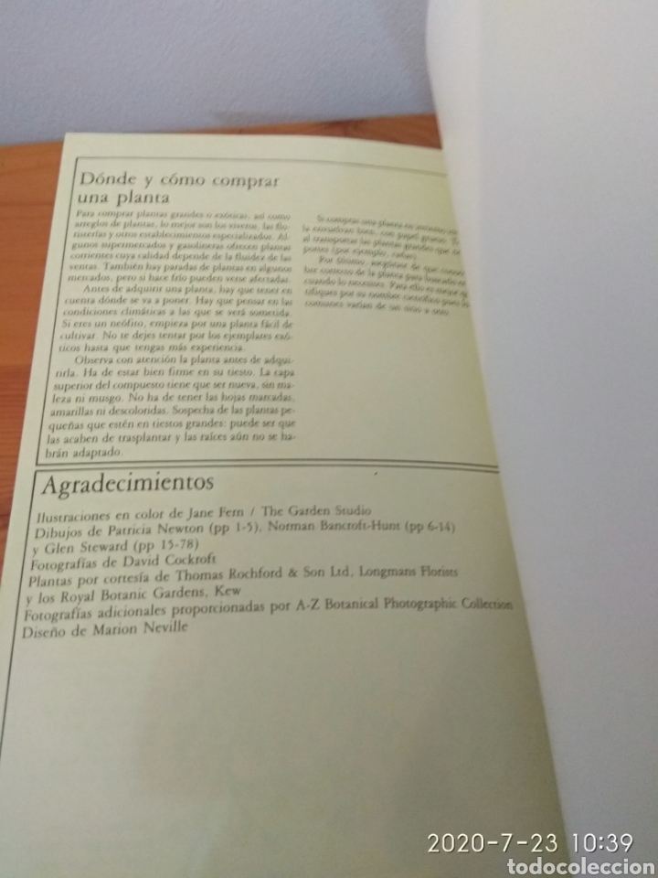 Libros de segunda mano: C&oacute;mo cuidar tus palmeras y helechos - Foto 13