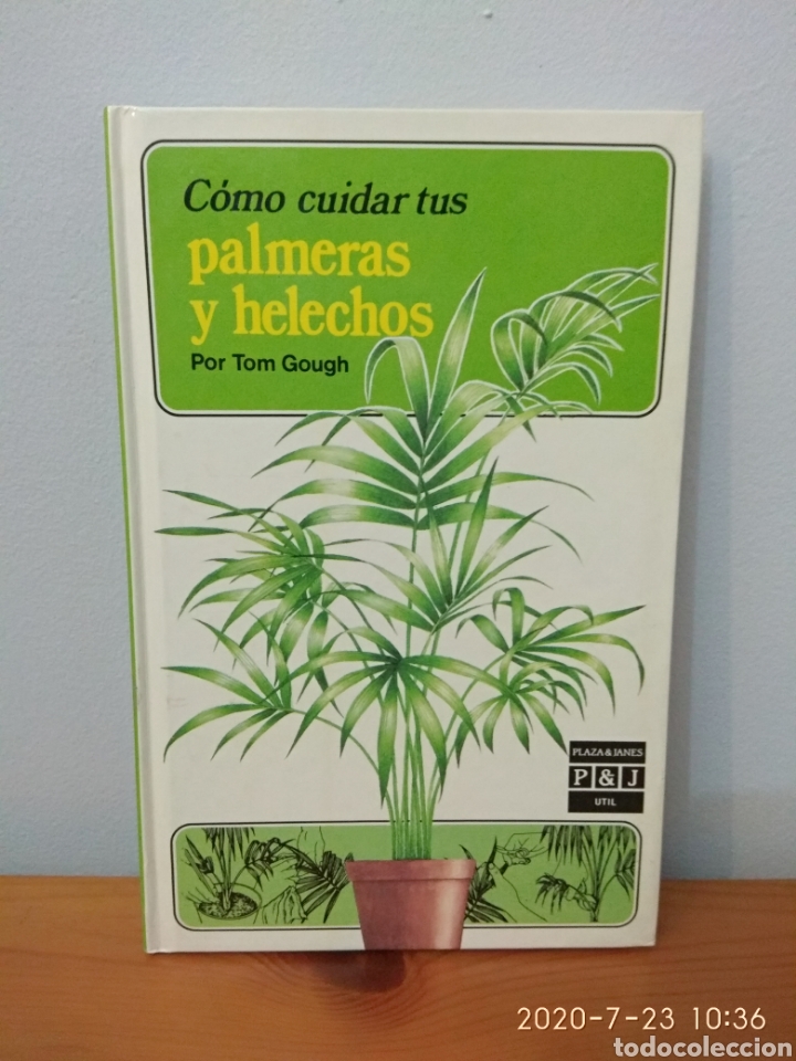 Libros de segunda mano: C&oacute;mo cuidar tus palmeras y helechos - Foto 1