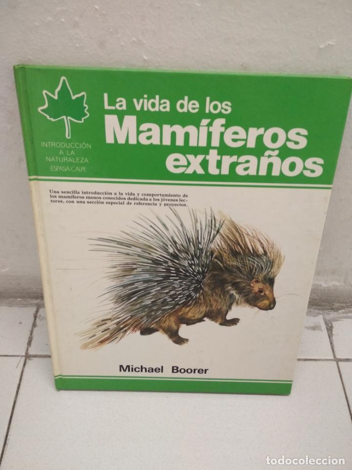 Libros de segunda mano: LA VIDA DE LOS MAM&Iacute;FEROS EXTRA&Ntilde;OS - MICHAEL BOORER - Foto 1
