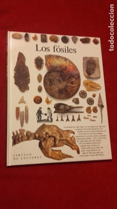Libros de segunda mano: LOS FOSILES - BIBLIOTECA VISUAL - ED. CIRCULO DE LECTORES - CARTONE - Foto 1