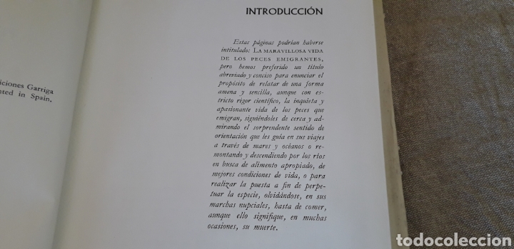 Libros de segunda mano: PECES EMIGRANTES, J. LOPEZ, - Foto 2