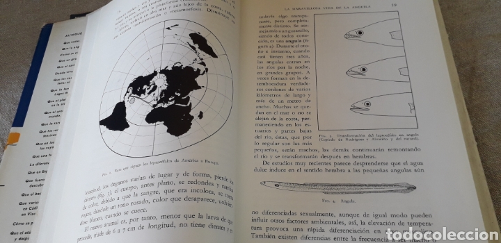 Libros de segunda mano: PECES EMIGRANTES, J. LOPEZ, - Foto 3