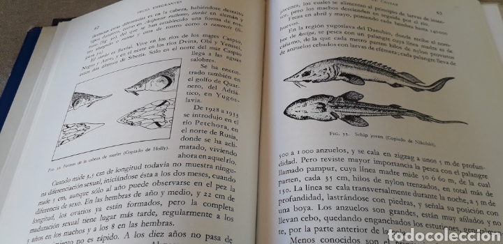 Libros de segunda mano: PECES EMIGRANTES, J. LOPEZ, - Foto 4