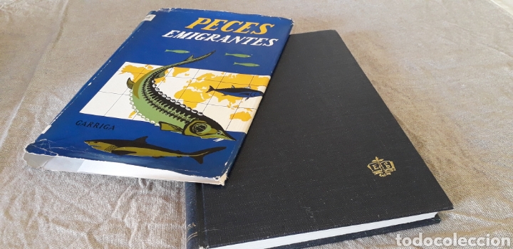 Libros de segunda mano: PECES EMIGRANTES, J. LOPEZ, - Foto 1