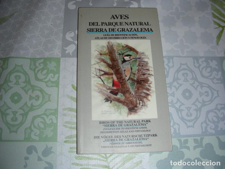 Second hand books: AVES DEL PARQUE NATURAL SIERRA DE GRAZALEMA , ESPA&Ntilde;OL/INGLES/ALEMAN