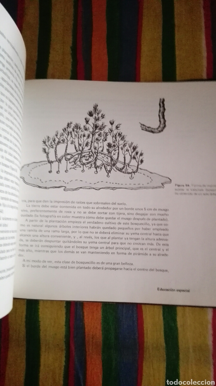 Libros de segunda mano: BONSAI. ARTE JAPON&Eacute;S. FAUST VERG&Eacute;S. EDICIONES MARZO 80. - Foto 2