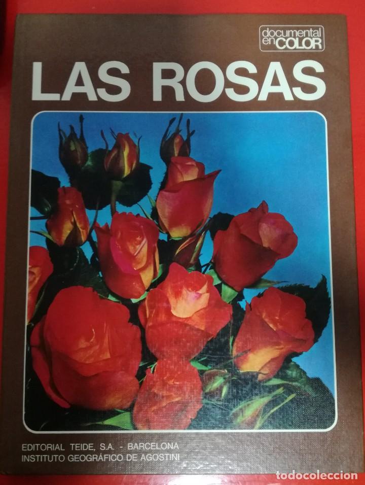 Libros de segunda mano: LAS ROSAS - EDITORIAL TEIDE, INSTITUTO GEOGR&Aacute;FICO DE AGOSTINI, 1973 - Foto 1