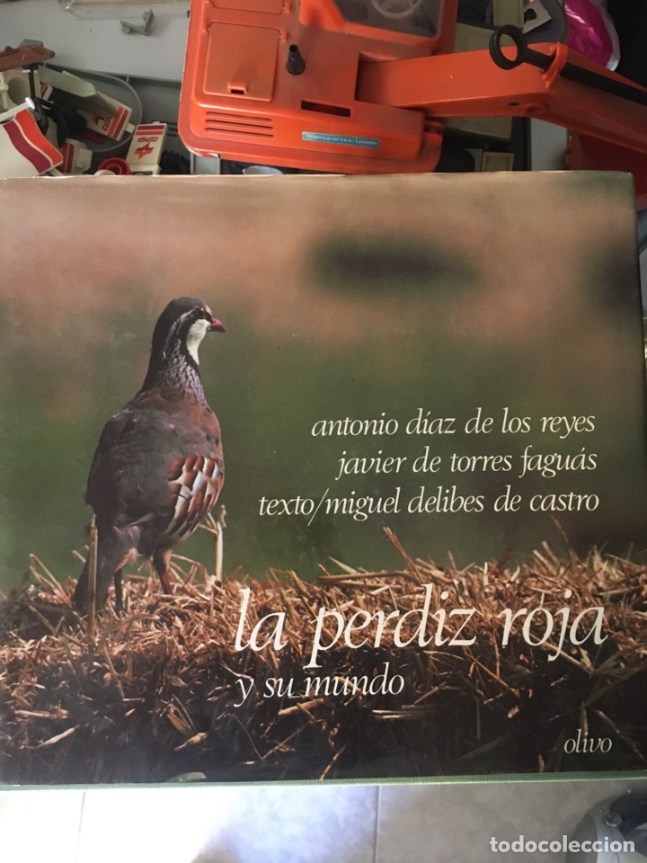 Libri di seconda mano: LA PERDIZ ROJA Y SU MUNDO-1980-DELIBES