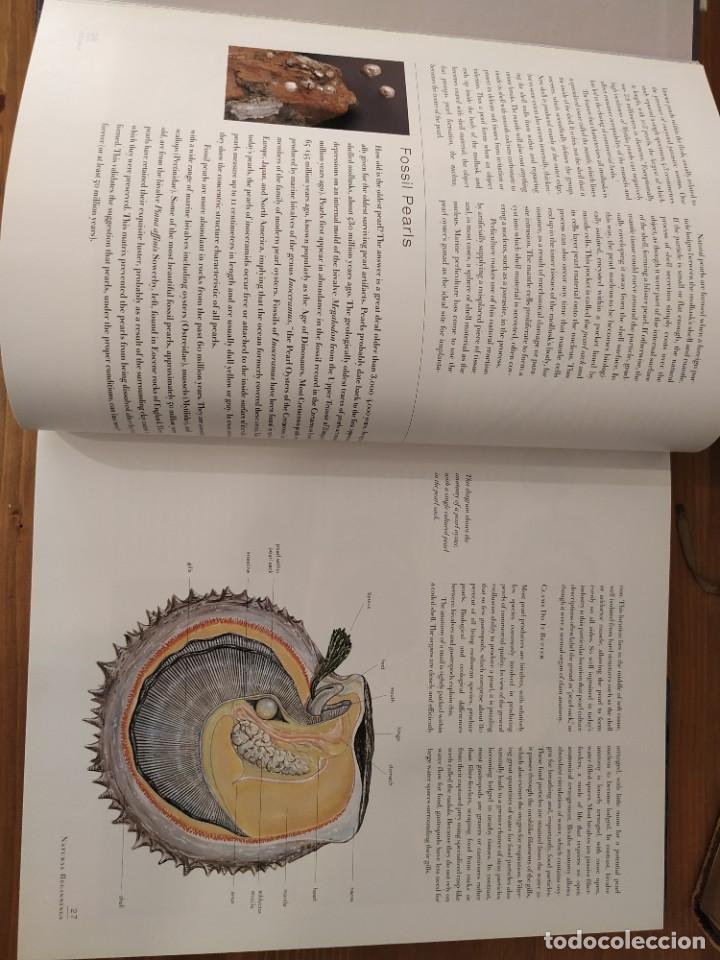 Libros de segunda mano: PEARLS A NATURAL HISTORY - AMERICAN MUSEUM - Foto 4