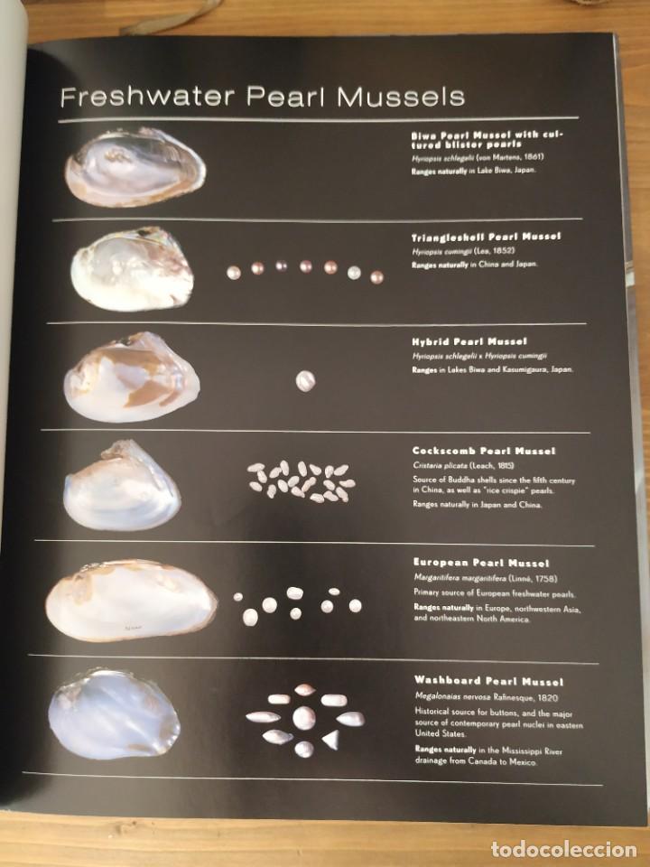 Libros de segunda mano: PEARLS A NATURAL HISTORY - AMERICAN MUSEUM - Foto 5