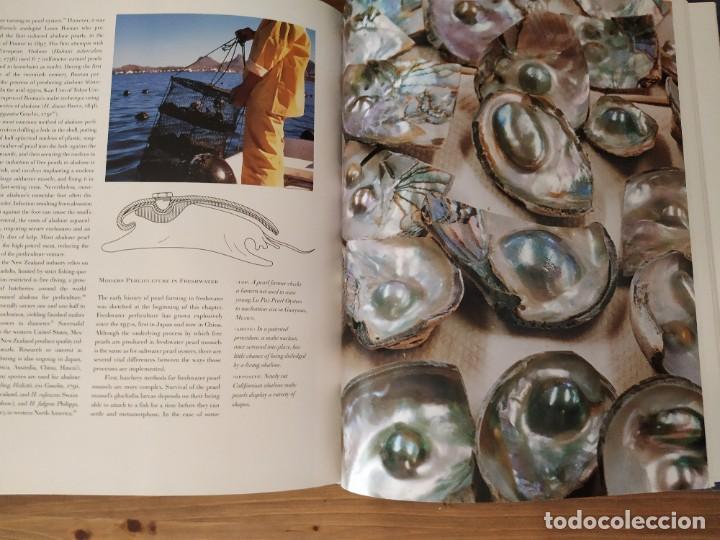 Libros de segunda mano: PEARLS A NATURAL HISTORY - AMERICAN MUSEUM - Foto 6