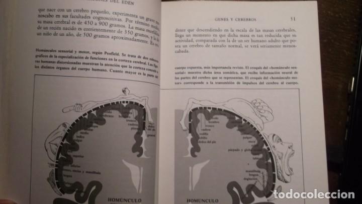 Libros de segunda mano: Los Dragones del Eden - Foto 3