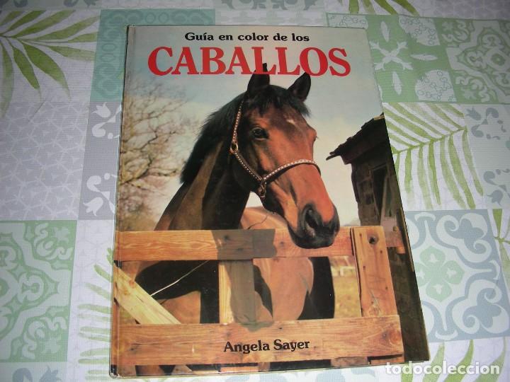 Libros de segunda mano: GUIA EN COLOR DE LOS CABALLOS , ANGELA SAYER - Foto 1