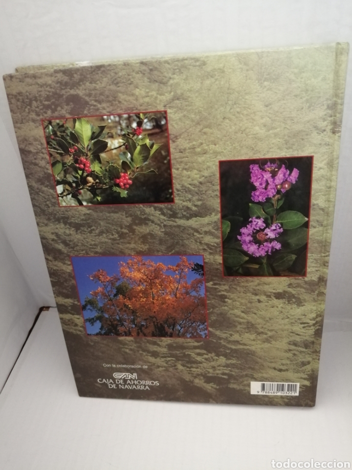 Libros de segunda mano: &Aacute;rboles ornamentales de Navarra. - Foto 2