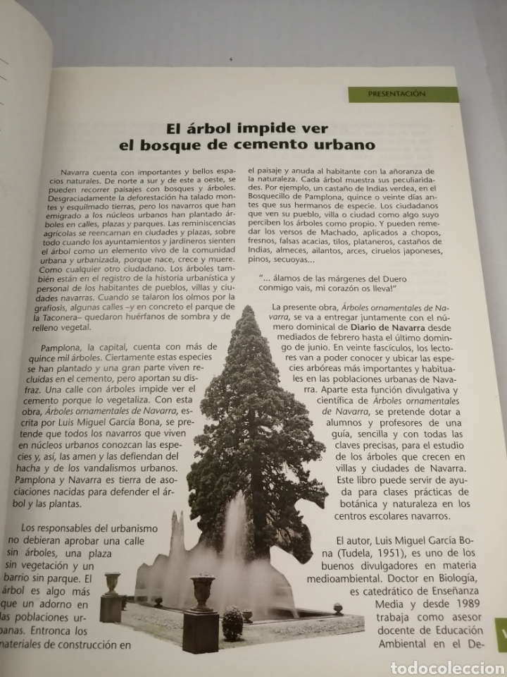 Libros de segunda mano: &Aacute;rboles ornamentales de Navarra. - Foto 4