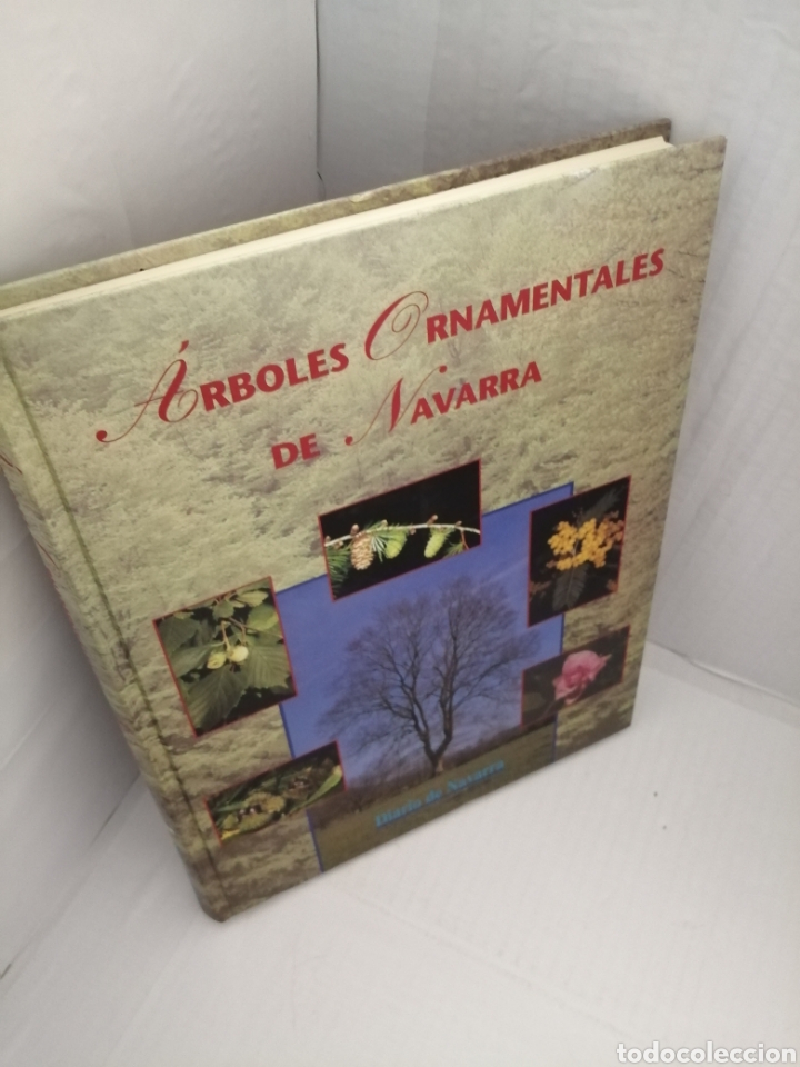 Libros de segunda mano: &Aacute;rboles ornamentales de Navarra. - Foto 10