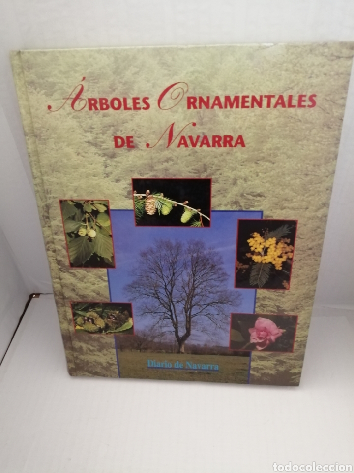 Libros de segunda mano: &Aacute;rboles ornamentales de Navarra. - Foto 1