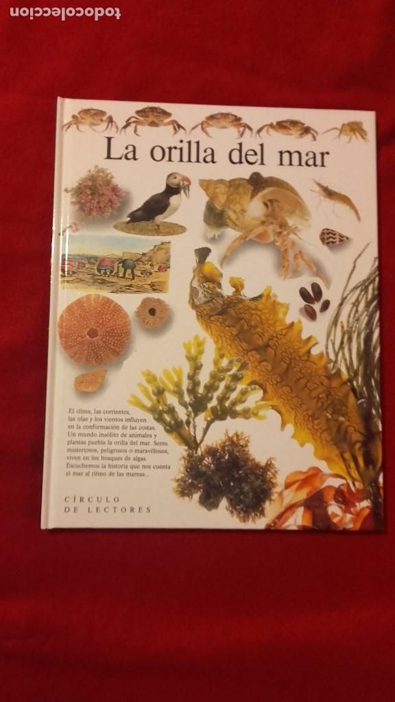 Libros de segunda mano: LA ORILLA DEL MAR - CICLIOTECA VISUAL - ED. CIRCULO DE LECTORES - CARTONE - Foto 1