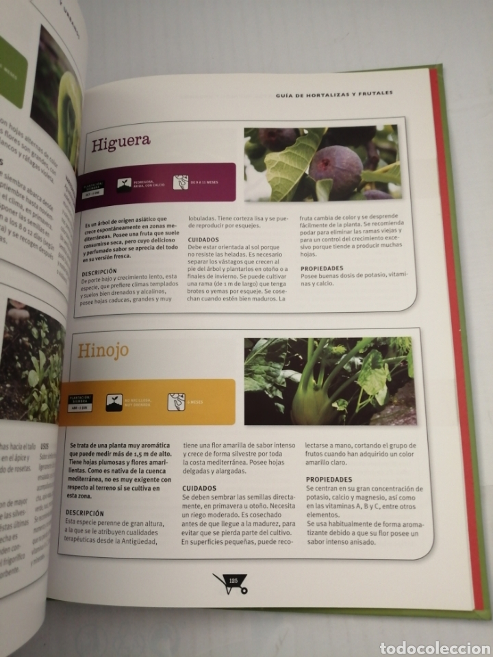 Libros de segunda mano: Huertos rurales y urbanos: Guía Biblok de jardinería - Foto 3 - 214346380