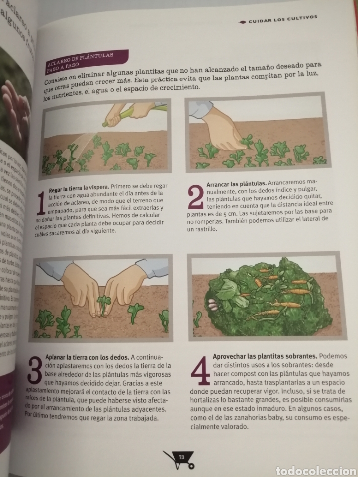 Libros de segunda mano: Huertos rurales y urbanos: Guía Biblok de jardinería - Foto 5 - 214346380