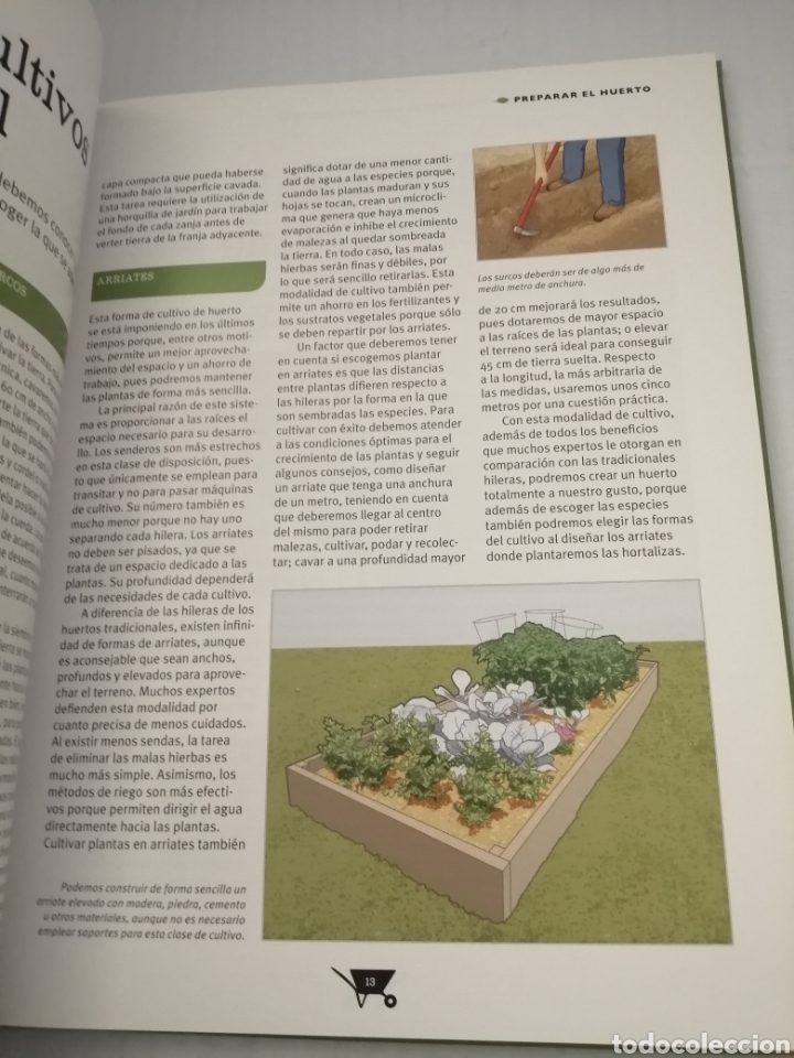 Libros de segunda mano: Huertos rurales y urbanos: Guía Biblok de jardinería - Foto 7 - 214346380
