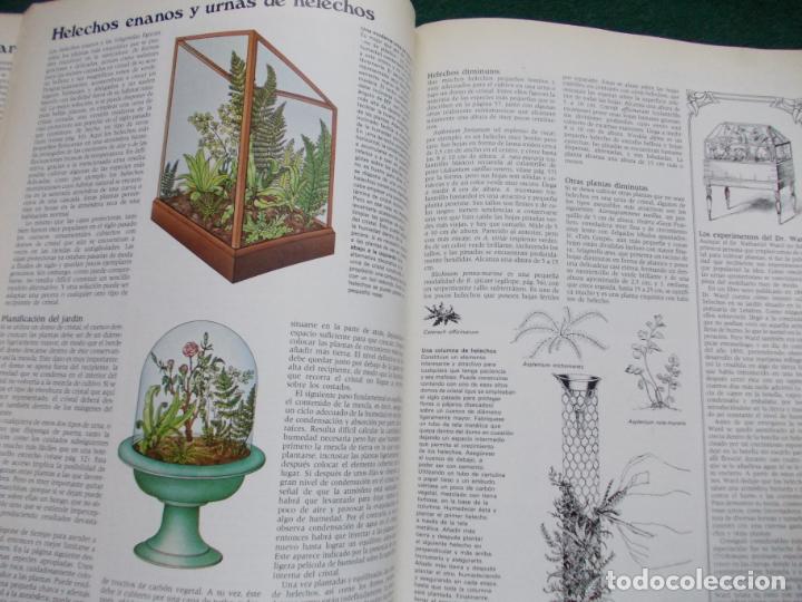 Libros de segunda mano: EL JARDIN EN CASA BLUME - Foto 3