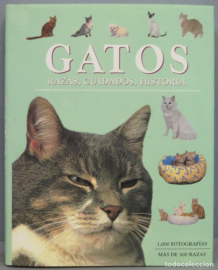 Libros de segunda mano: GATOS. RAZAS, CUIDADOS, HISTORIA - Foto 1