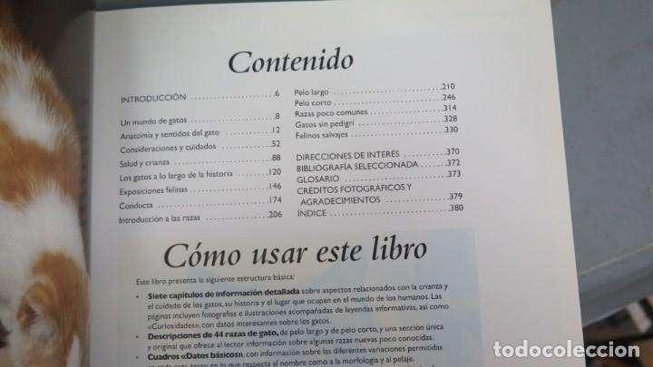 Libros de segunda mano: GATOS. RAZAS, CUIDADOS, HISTORIA - Foto 2