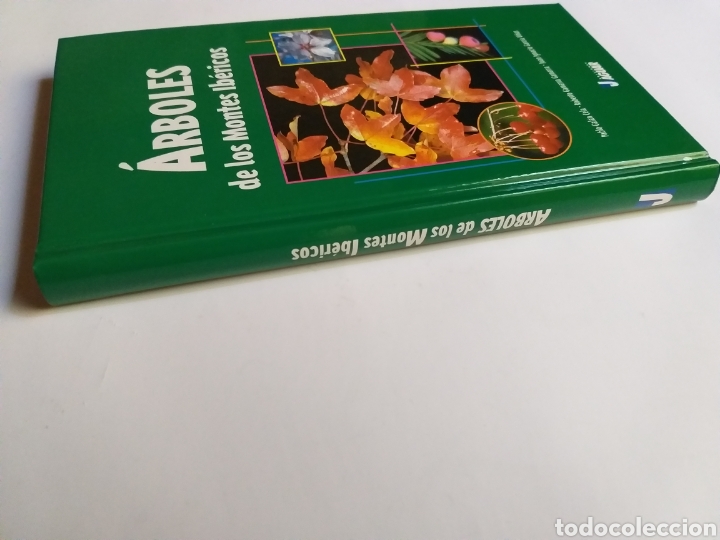 Libros de segunda mano: &Aacute;rboles de los montes ib&eacute;ricos . Pablo gal&aacute;n - Foto 2