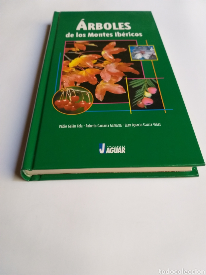 Libros de segunda mano: &Aacute;rboles de los montes ib&eacute;ricos . Pablo gal&aacute;n - Foto 3
