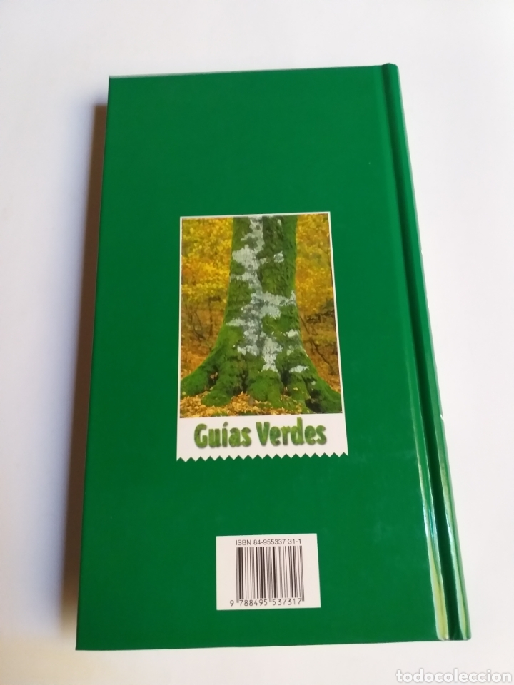 Libros de segunda mano: &Aacute;rboles de los montes ib&eacute;ricos . Pablo gal&aacute;n - Foto 4