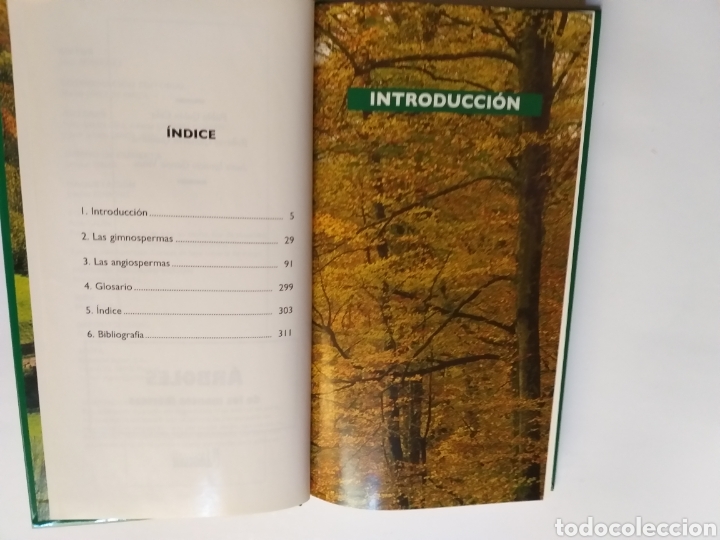 Libros de segunda mano: &Aacute;rboles de los montes ib&eacute;ricos . Pablo gal&aacute;n - Foto 6