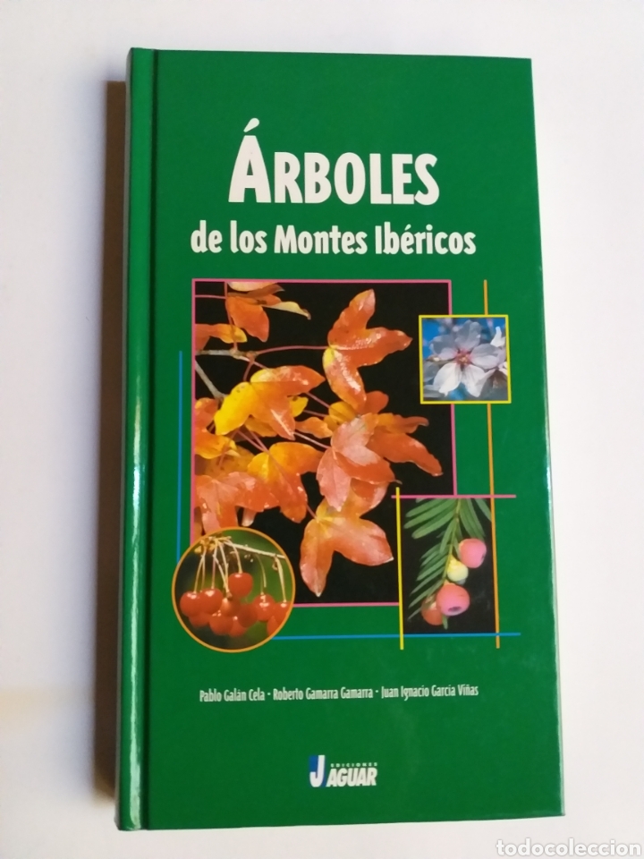 Libros de segunda mano: &Aacute;rboles de los montes ib&eacute;ricos . Pablo gal&aacute;n - Foto 1