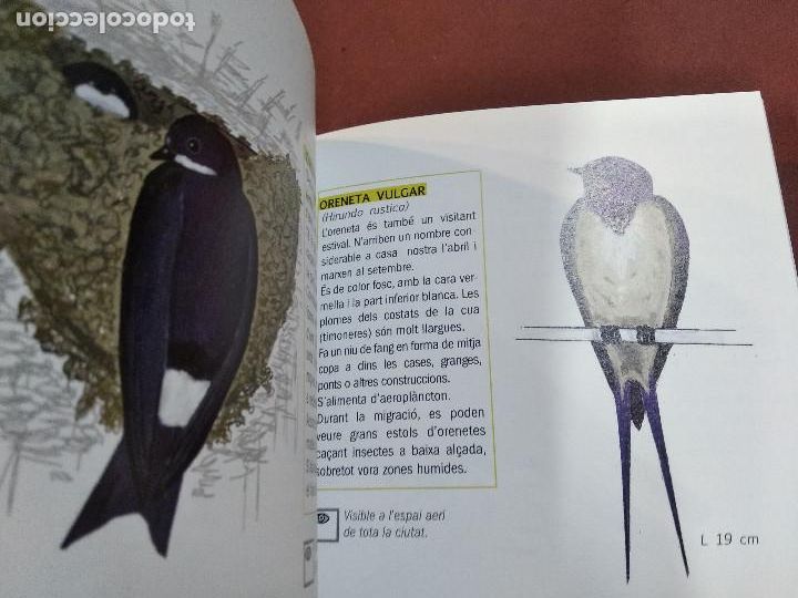 Libros de segunda mano: Guia 50 ocells a Figueres - FFB - Foto 2