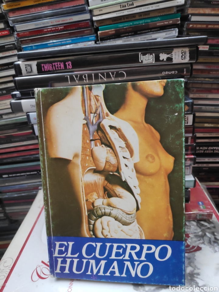 Libros de segunda mano: El cuerpo humano Augusto Castell&oacute; - Foto 1