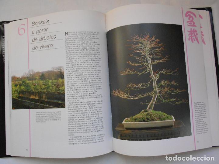 Libros de segunda mano: BONSAI - PETER CHAN - LIBROS CUPULA / CEAC - PRIMERA EDICION 1990 - Foto 4