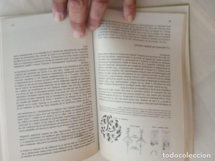 Libros de segunda mano: Biolog&iacute;a del conocimiento- Rupert Riedl. - Foto 4