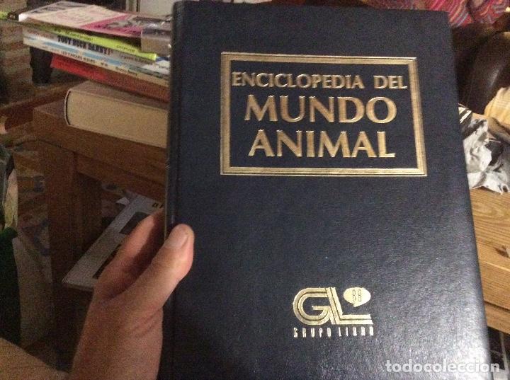 Gebrauchte B&uuml;cher: Enciclopedia del mundo animal mamiferos 1 grupo libro