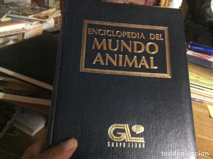 Gebrauchte B&uuml;cher: Enciclopedia del mundo animal tomo 5 peque&ntilde;os herviboros