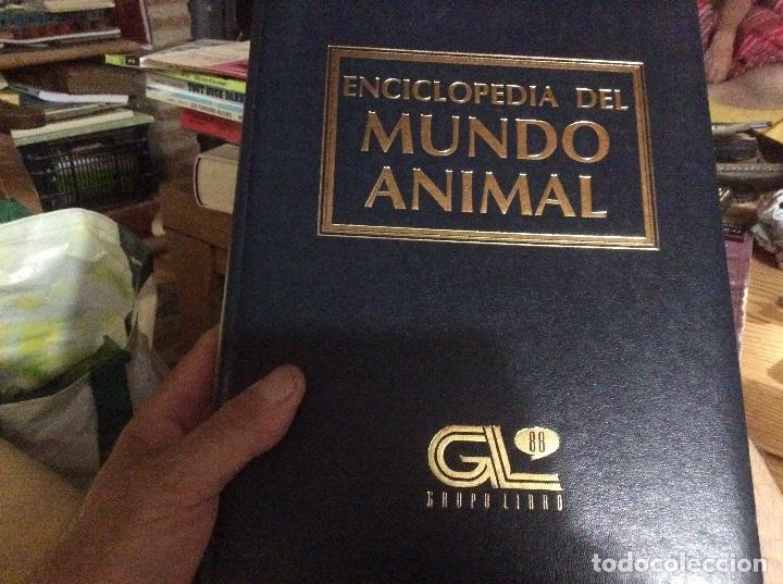 Gebrauchte B&uuml;cher: Enciclopedia del mundo animal tomo 12 invertebrados acuaticos grupo libro