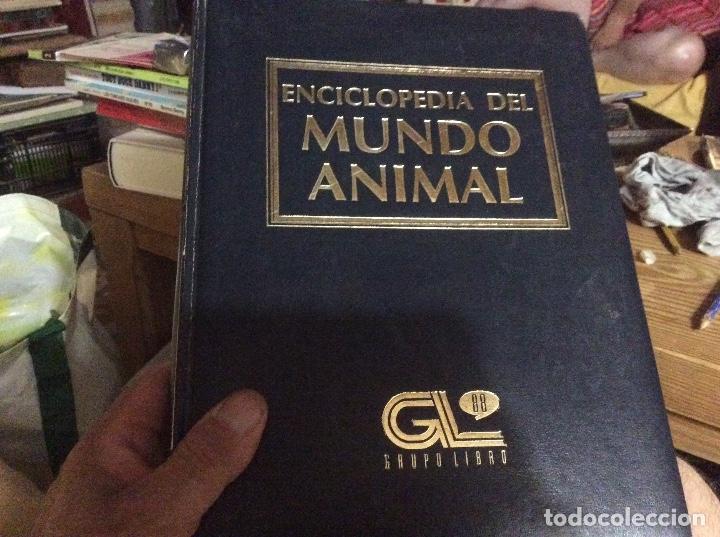 Gebrauchte B&uuml;cher: Enciclopedia del mundo animal tomo 11 peces grupo libro
