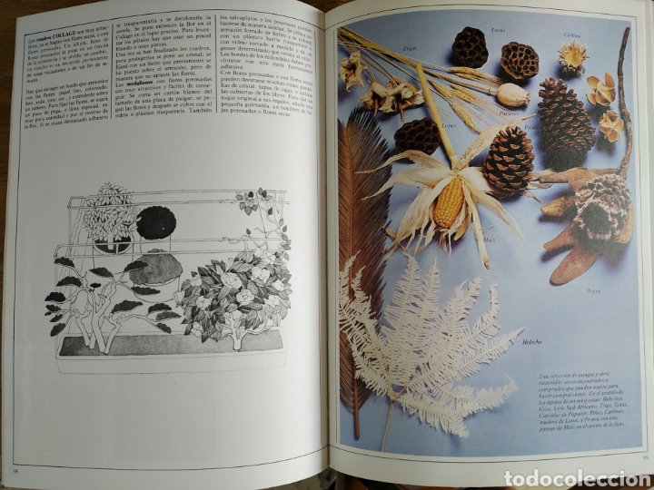 Libros de segunda mano: Libro - Flores y Plantas para el Hogar - Foto 3