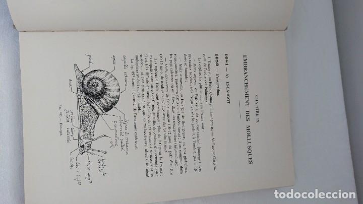 Libros de segunda mano: ELEVAGES DES PETITS ANIMAUX, II, MARCEL SIRE - Foto 6